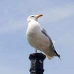 Immer und überall Immer und überall